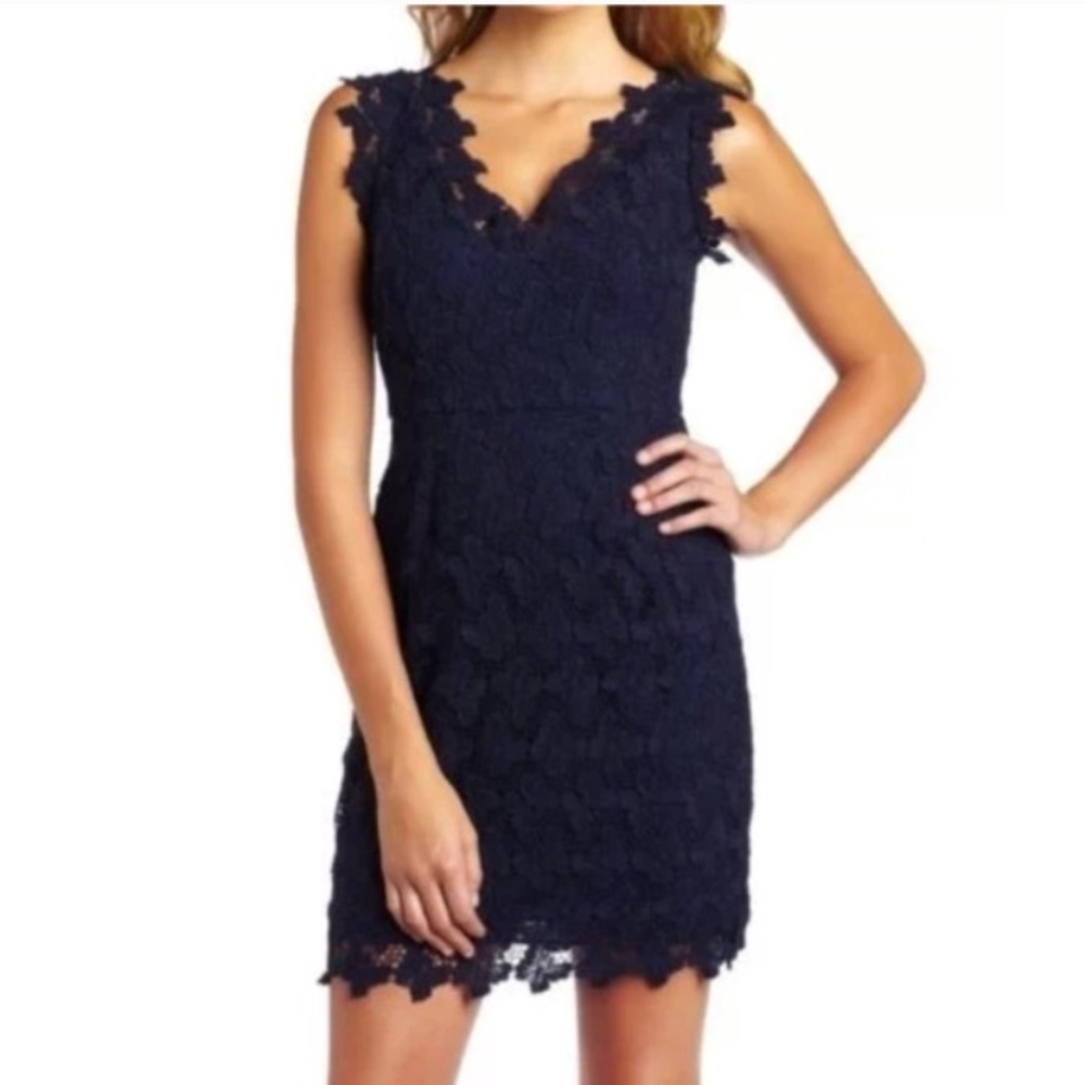 🚫SOLD🚫 Lilly Pulitzer Papillon Lace Dress - Picture 1 of 5